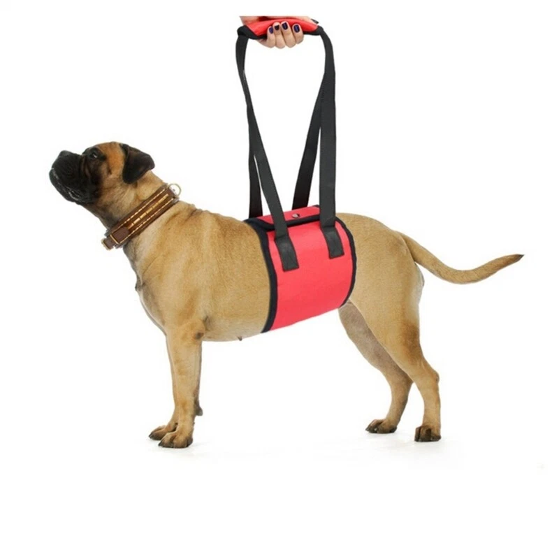 Dog Harness Dog Harness for Small Large Size Dog No Pulling