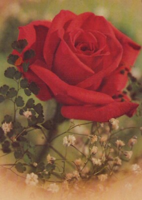 FLOWERS Vintage Ansichtskarte Postkarte CPSM #PBZ457.D