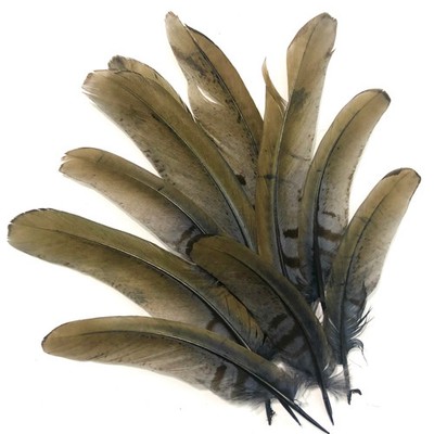 Under 6'' Reeves Pheasant Tail Feather x 10 pcs - Navy Blue
