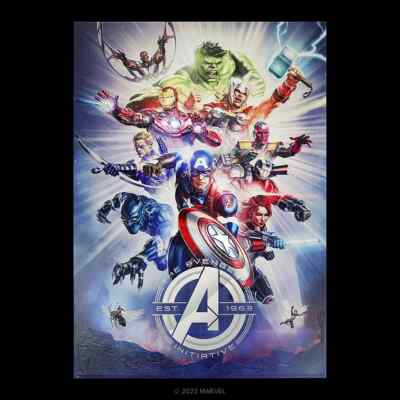  DISPLATE  LIMITED EDITION ?/1000 | MARVEL  - The Avengers  | NEU & OVP