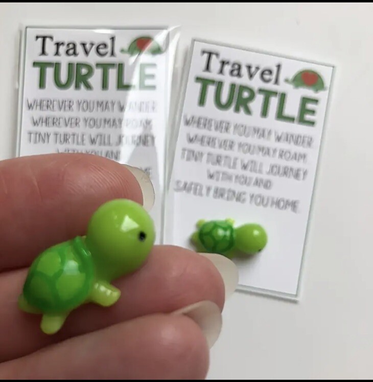 Reisegeschenk, Reiseschildkröte , Reisekomfort Aufbewahrungsgeschenk für Familienfreunde