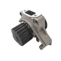 ED0065844380-S Wasserpumpe Lombardini LDW502 523 Grecav Chatenet Microcar Ligier