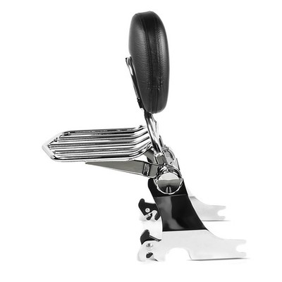 Sissy Bar mit Gepäckträger abnehmbar für Harley Sportster 94-03 chrom gebraucht