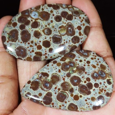 100% Natural Asteroid Jasper Cabochon 129.85 Ct 2 PCs Lot Loose Gemstone Jewelry