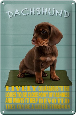 mrdeco Metall Schild 20x30cm  Dachshund Hund lively devoted Deko Blechschild