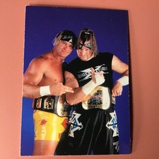 1998 DuoCards WWF Superstarz Trading Card : New Age Outlaws #7