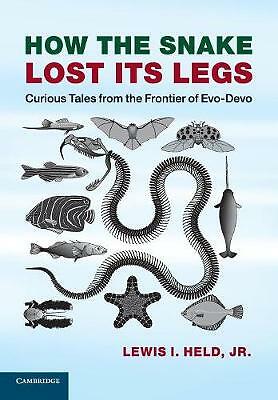 How the Snake Lost its Legs Curious Tales from the Frontier of Evo-Devo Held Jr