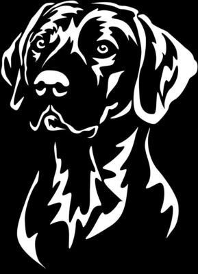 RHODESIAN RIDGEBACK Aufkleber -  Autoaufkleber - sticker - Ridgeback Kopf #88 - Bild 1 von 3