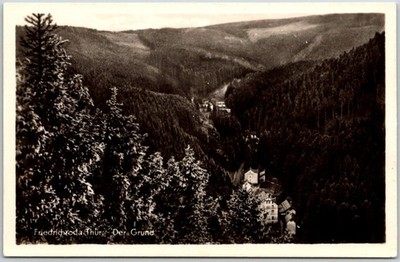 Friedrichroda East Germany Der Grund Forest Valley View RPPC Photo Postcard