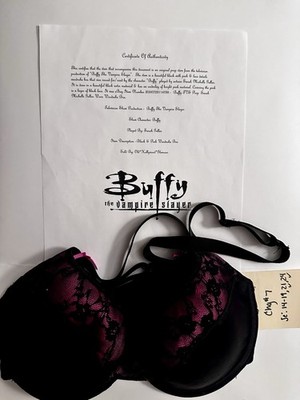 Authentic Buffy The Vampire Slayer Show Worn Sarah Michelle Gellar Bra w COA