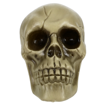 Plastic Skull 6