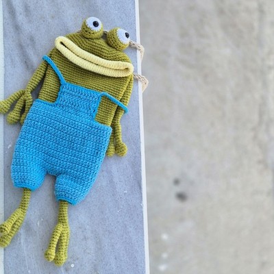 Crochet Frog Bag, Handmade Amigurumi Purse, Cute Crossbody Kawaii Gift
