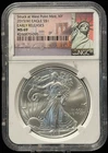 NGC MS 69 2015 United States American Silver Eagle S$1 Coin-095