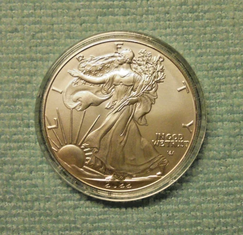 2022 American Silver Eagle 1 Oz Brilliant Uncirculated Coin Encapsulated