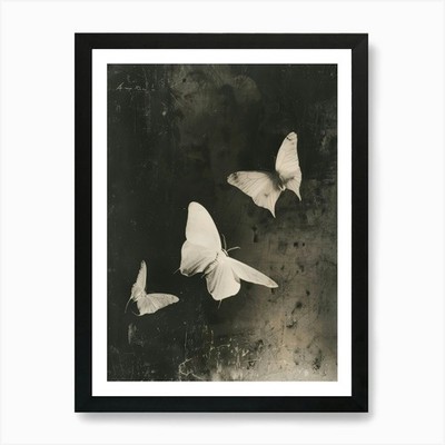 Drei Schmetterlinge 1 Kunstdruck gerahmt Wandbild Poster Leinwanddruck Bild