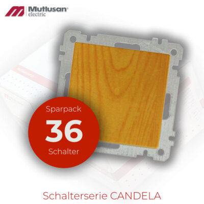 Sparset 36x Ein / Aus Schalter Lichtschalter Wandschalter Unterputz Mutlusan CAN
