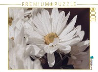 Calvendo Puzzle Magerite | 1000 Teile Lege-GrößE 64X48Cm Foto-Puzzle FüR GlüCkli