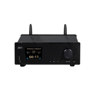 PAIYON DP-1 Digital Turntable Audio Player Lossless Decoder 2.4-in W/Remote