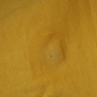 Bild 7 von 8