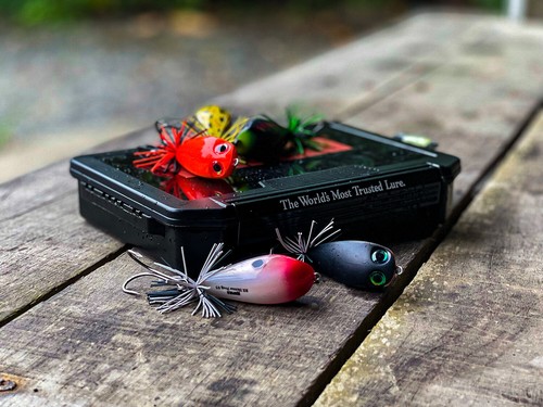 Rapala BX Skitter Frog Lures - Pike Bass Perch Chub Predator Surface Bait Tackle - Picture 11 of 27
