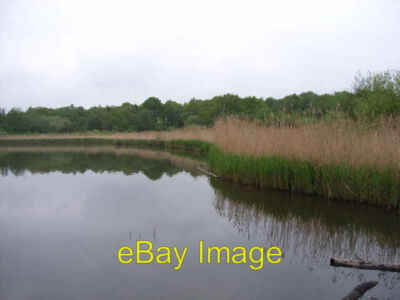 Foto 6x4 Flotte Teich aus Sandbucht wo Gelvert Bach einfließt. c2006