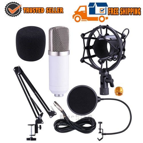 Kit De Micrófono Condensador Profesional Con Brazo Articulado Y Mic Para Juegos - Picture 14 of 39