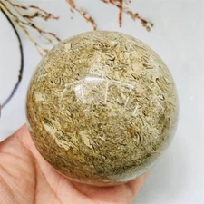 0.6kg fossil sphere home Decorative products crystal