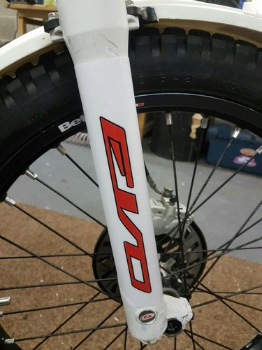 BETA EVO REV 3 FORK PROTECTOR DECALS STICKERS GRAPHICS 2003 2025 WHITE - 第 1/3 張圖片
