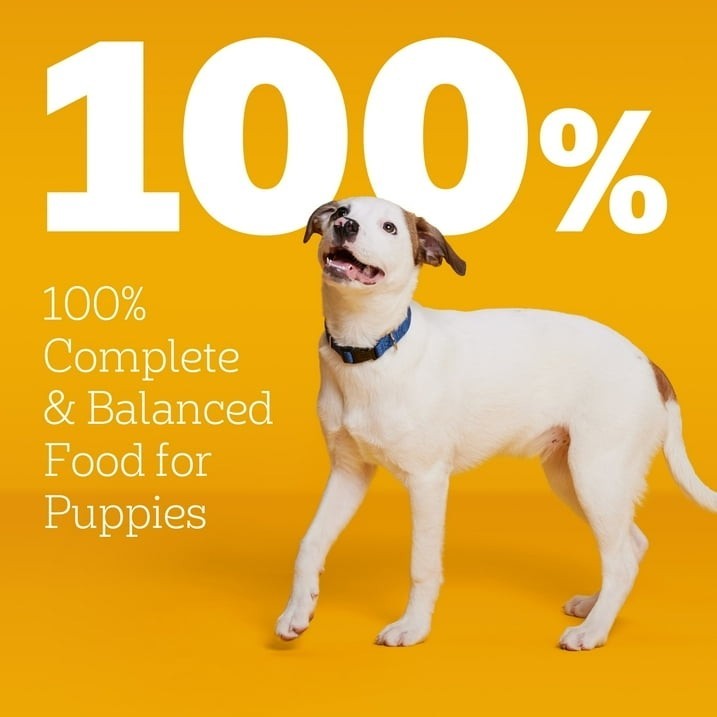 Pedigree Puppy Growth & Protection Chicken & Vegetable Flavor Dry Dog Food, 14