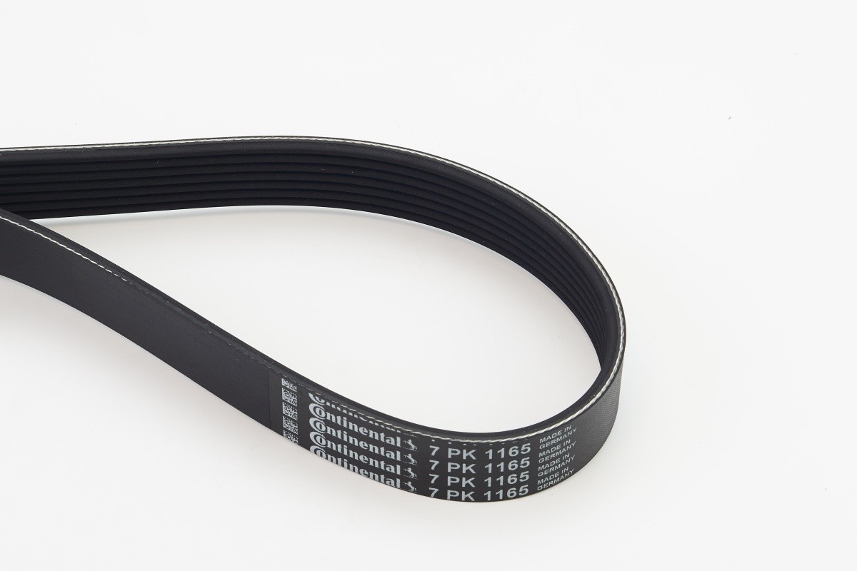Multi-ribbed V-belt 7PK1165 CONTINENTAL CTAM for NISSAN MICRA IV NOTE - Image 14