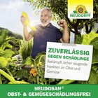 Bild 7 von 7