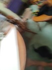 Picture 4 of 6