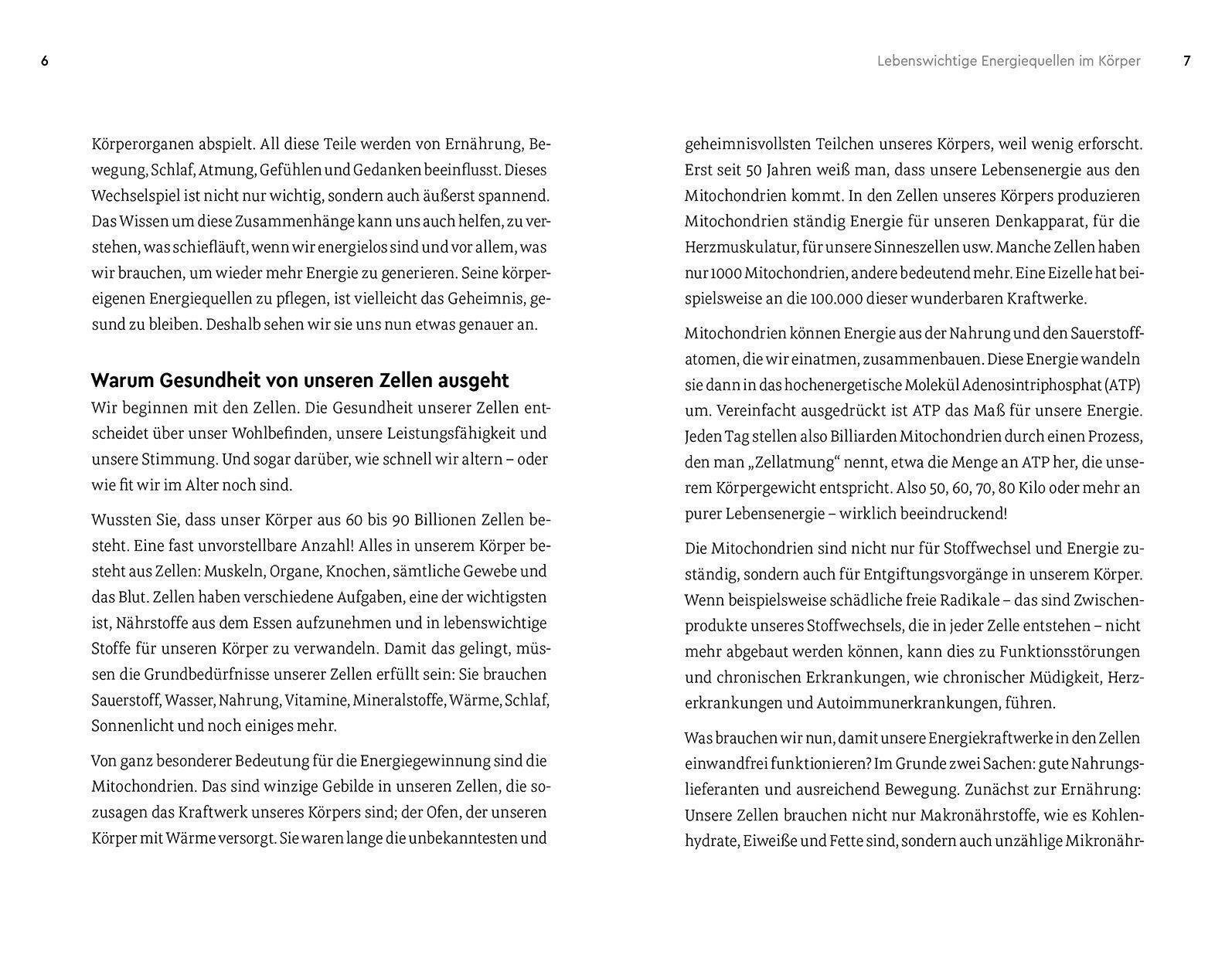 Thumbnail - Christian Thuile | Energiegeladen Statt Ausgelaugt | Taschenbuch |