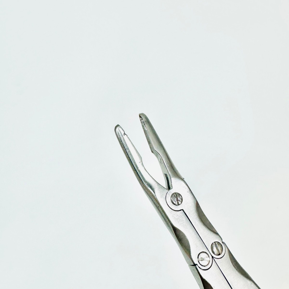 Roditore Chirurgico V. Mueller D7902 - Pinza Doppia Azione 4x15mm, Lunga 18,2 Cm