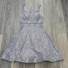 Camille La vie gorgeous silver floral lace plunge party dress size med 8-10 nye