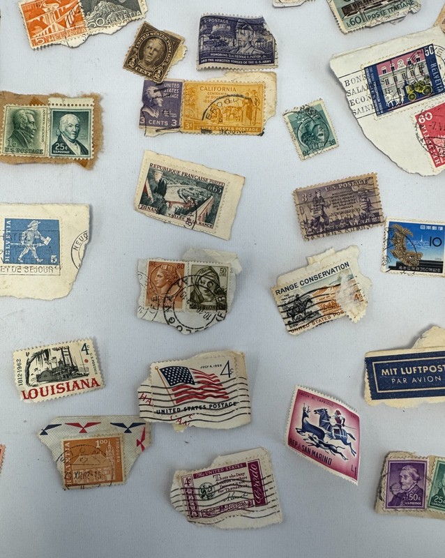 Vintage Worldwide Off Paper Postage Stamp Kiloware Lot on Paper USA
