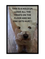 Funny Dog Yorkie Yorkshire Treat Hold Up Refrigerator Magnet