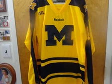 Vancouver Canucks/University of Michigan #43 Quinn Hughes NCAA Jersey