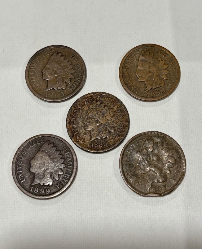Indian Head Small Cent Copper Lot of 6 Coins 1880 1899 1903 1905 1907