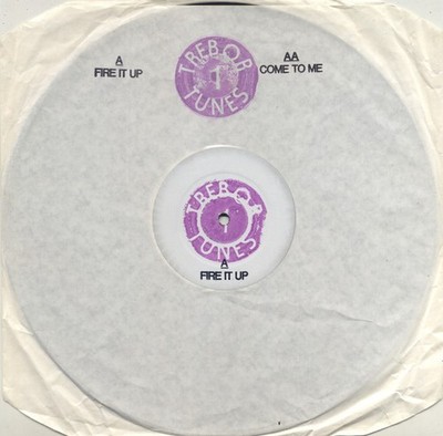 Unknown Artist - Fire It Up / Come To Me - UK 12'' Vinyl - 1993 - Trebor Tunes