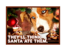 Funny Dog Australian Shepherd Aussie Christmas Santa Cookies Refrigerator Magnet