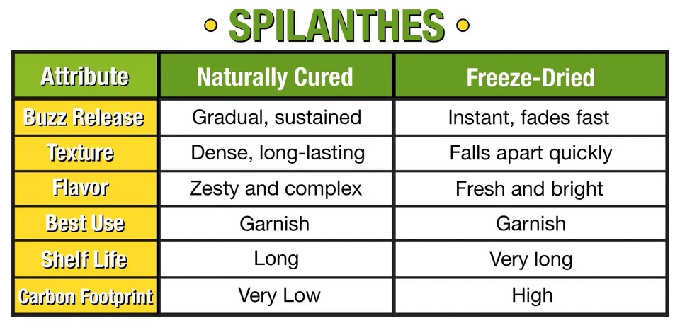 Органические мяты - КРОШЕЧНЫЕ ЖУЖЖАЩИЕ ОРЕХИ Заправка - Дышите Мятой Размер Spilanthes Цветы - Изображение 2 из 4