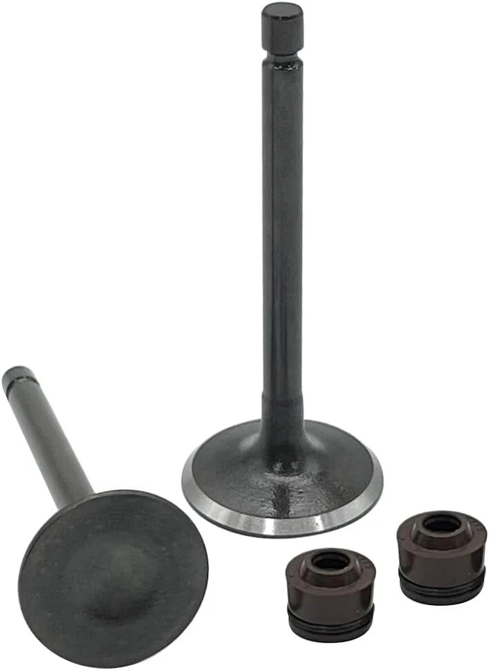 Cylinder Head Intake Exhaust Valve for Yamaha TTR125L TTR125E TTR125LE 2000-2018 Foto 3 de 4