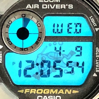 CASIO G-SHOCK DW-8200MS-8T Frogman Smoke Gray Titanium Dive Watch