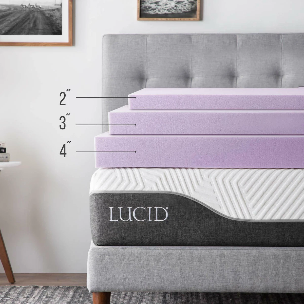 LUCID 2 3 4 Inch Lavender Memory Foam Mattress Topper Twin