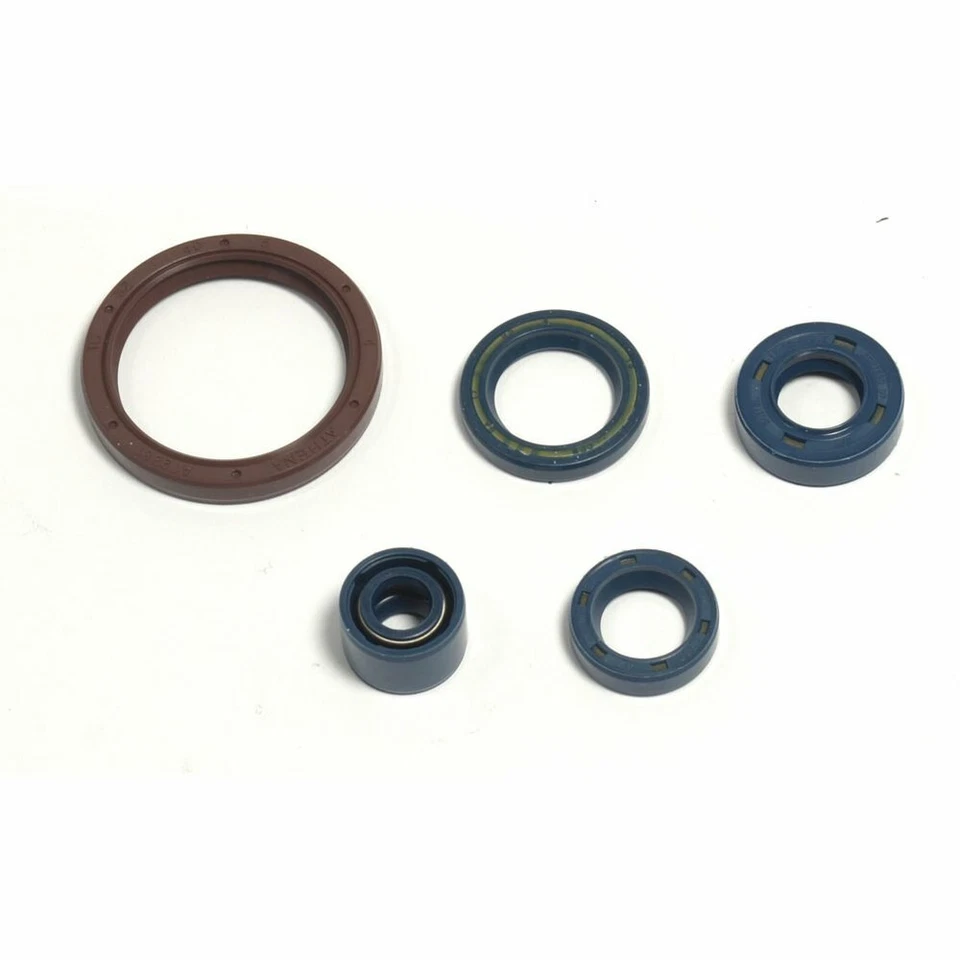 SERIE PARAOLIO ATHENA PER HUSQVARNA 510 TXC C.Country 2004-2010 Foto 2 de 3