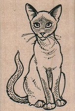 Siamese Kitty Staring Intently 1 3/4 x 2 3/4" Rubber Stamp, Cat Stamp, Cute Cat