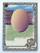 2019 ALLEN & GINTER #213 EGG Gold Border SP Rare (KYLIE JENNER) Hot Box