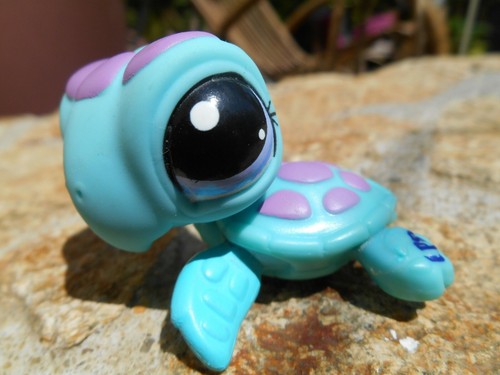 LPS Littlest petshop pet shop chien chat européen colley cat dog rare accessoire - Imagen 89 de 243