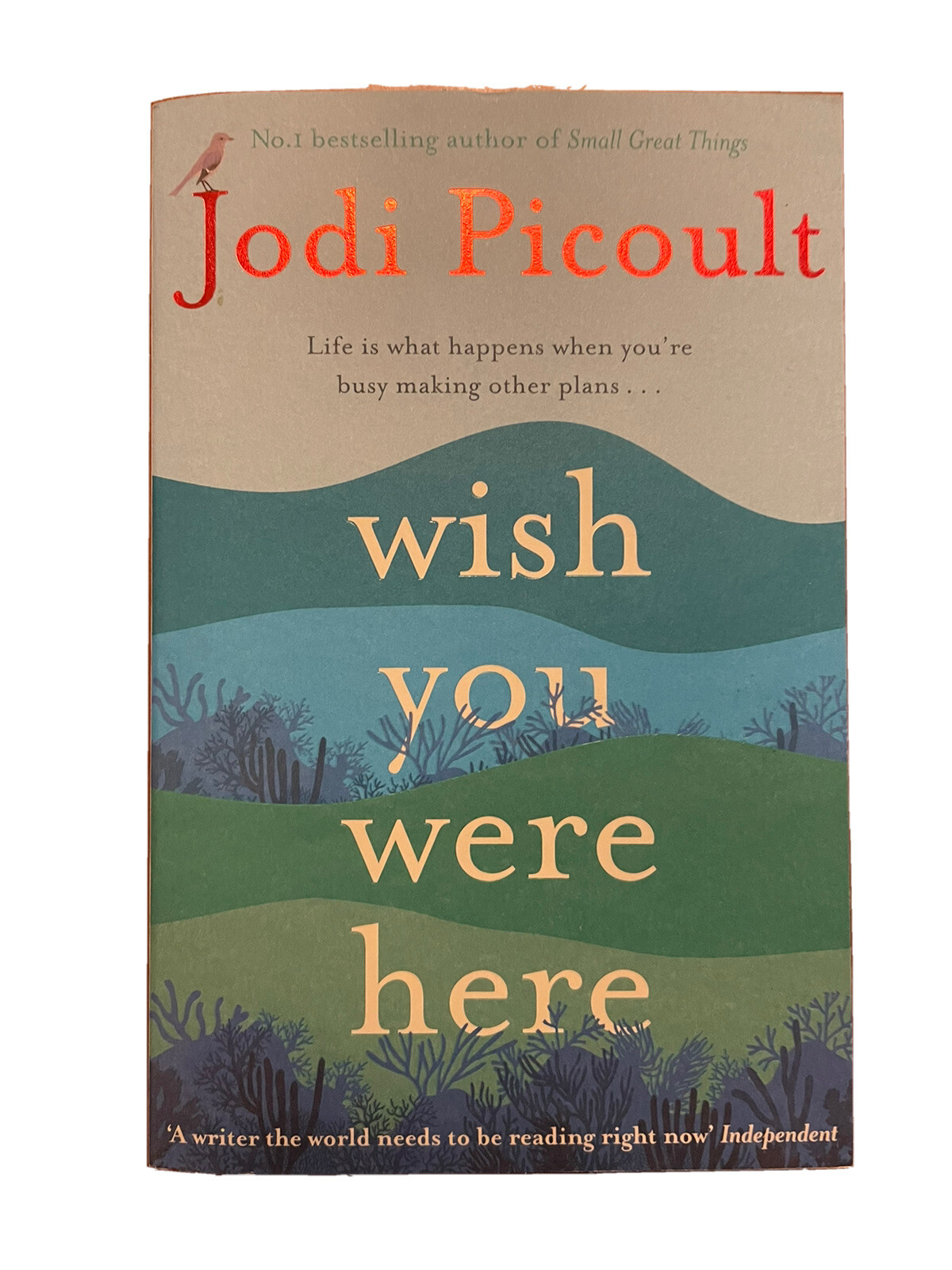 Wish You Were Here - Picoult  Jodi